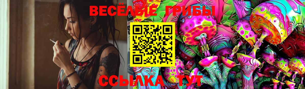 Саянск  купить наркоту  Вход с VPN  Псилоцибиновые грибы Magic Shrooms  Псилоцибиновые грибы прущие грибы 